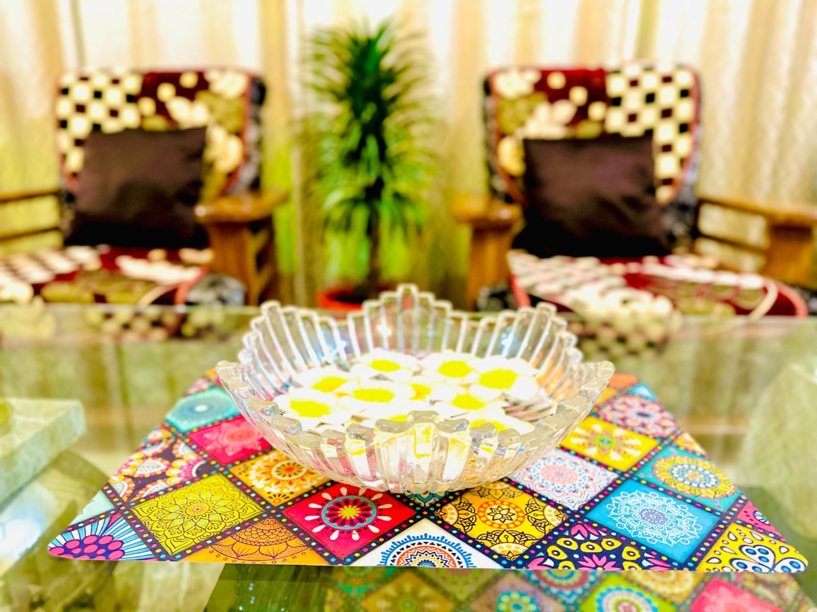 Experience the Best Homestay in Lucknow – Comfortable, Cozy, and Pet-Friendly